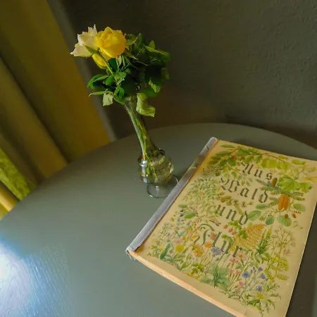 Hilter Muehle * Lathen